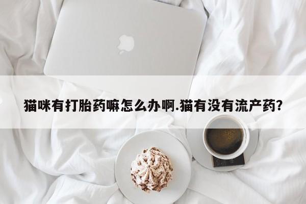 网上米非司酮片打胎药网店猫咪有打胎药嘛怎么办啊.猫有没有流产药？
