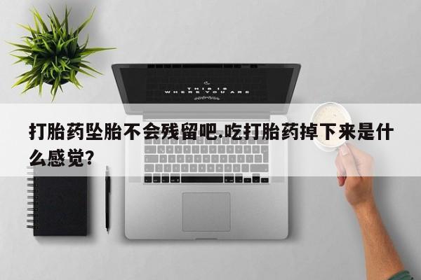 网上米非司酮片打胎药网店打胎药坠胎不会残留吧.吃打胎药掉下来是什么感觉？