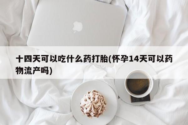 网上米非司酮片打胎药网店十四天可以吃什么药打胎(怀孕14天可以药物流产吗)
